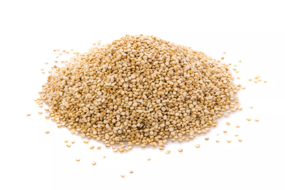 Quinoa semínka